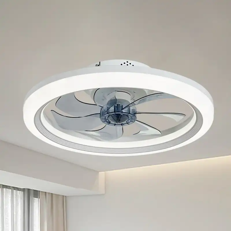 Ceiling fan detail 1