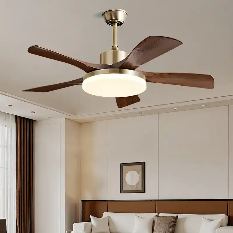 Ceiling fan detail 2