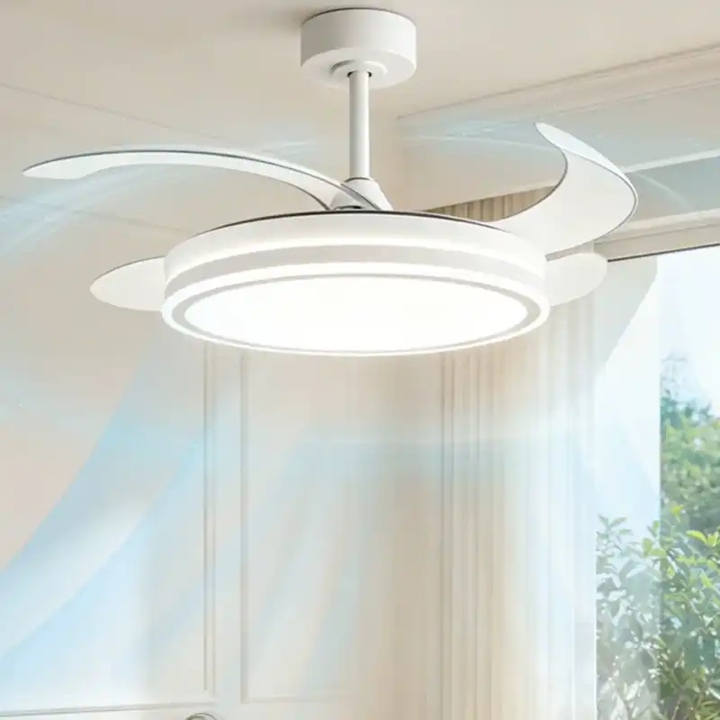 Ceiling fan detail 4