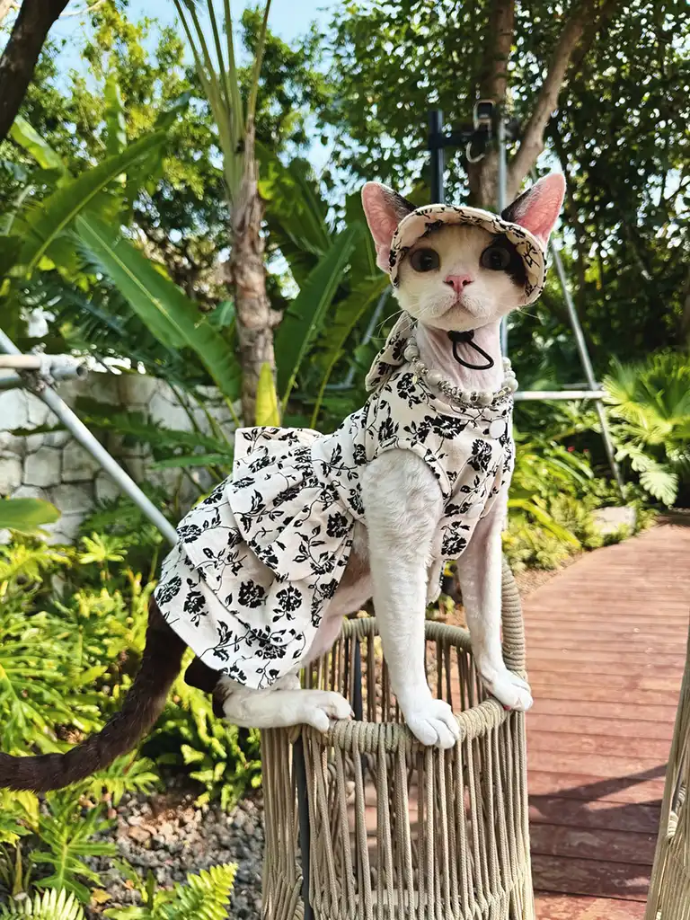 Floral Garden Dress