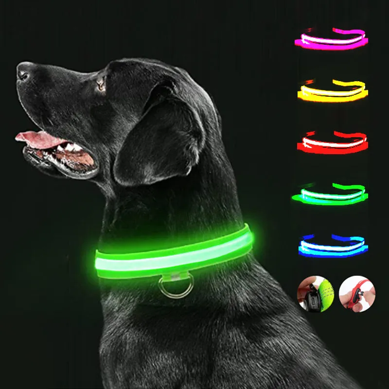 LED Glow Pet Collar