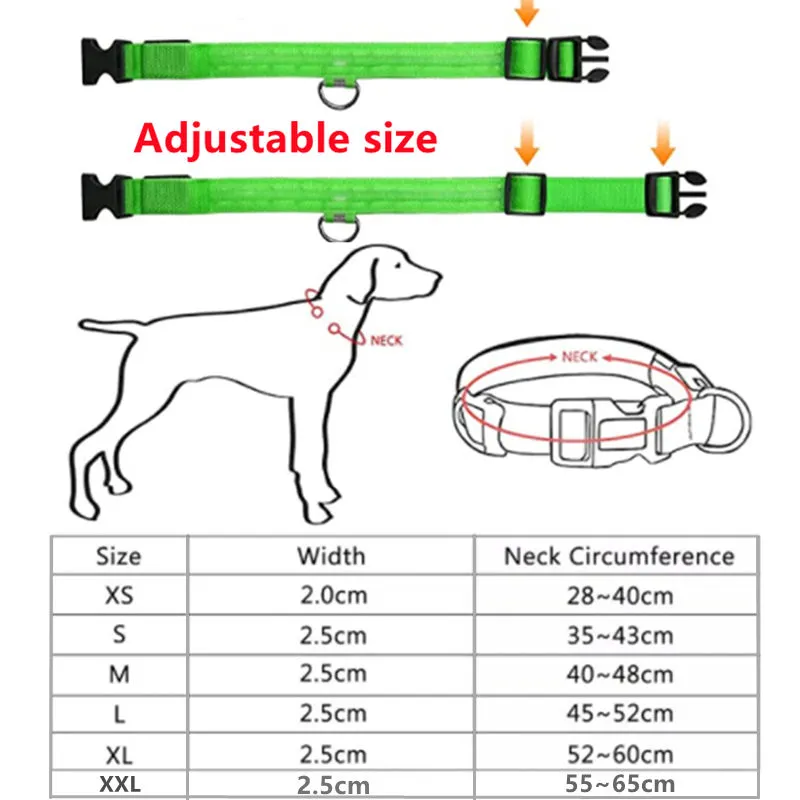 Glow Collar 2