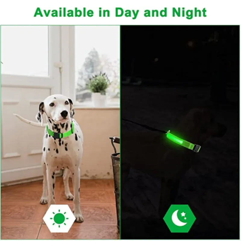 Glow Collar 3