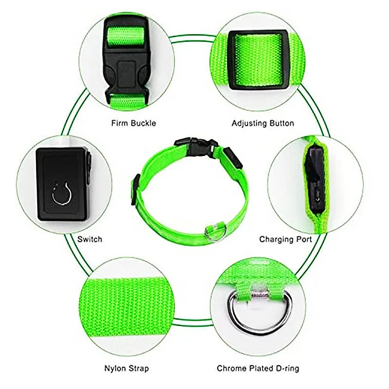 Glow Collar 4
