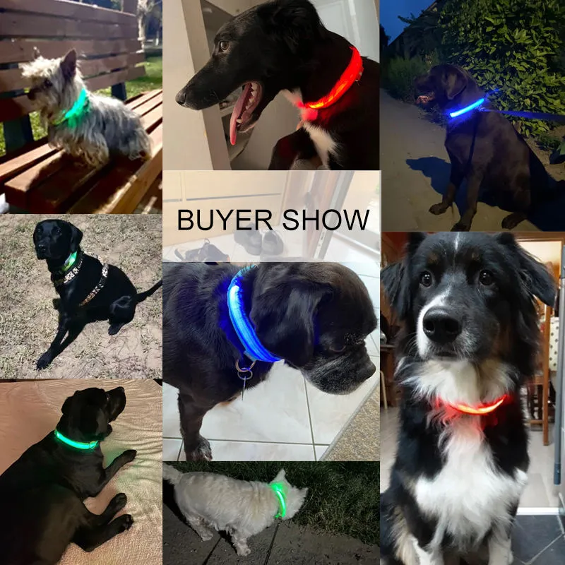 Glow Collar 6