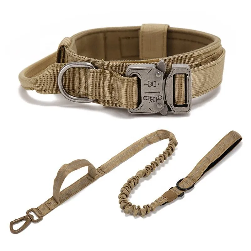 Pet Collar
