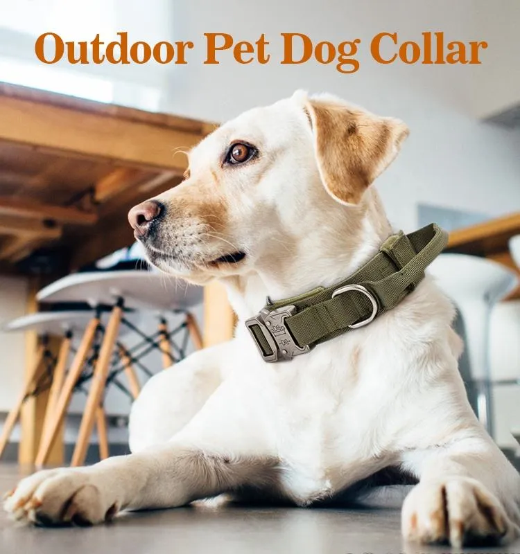 Pet Collar 2