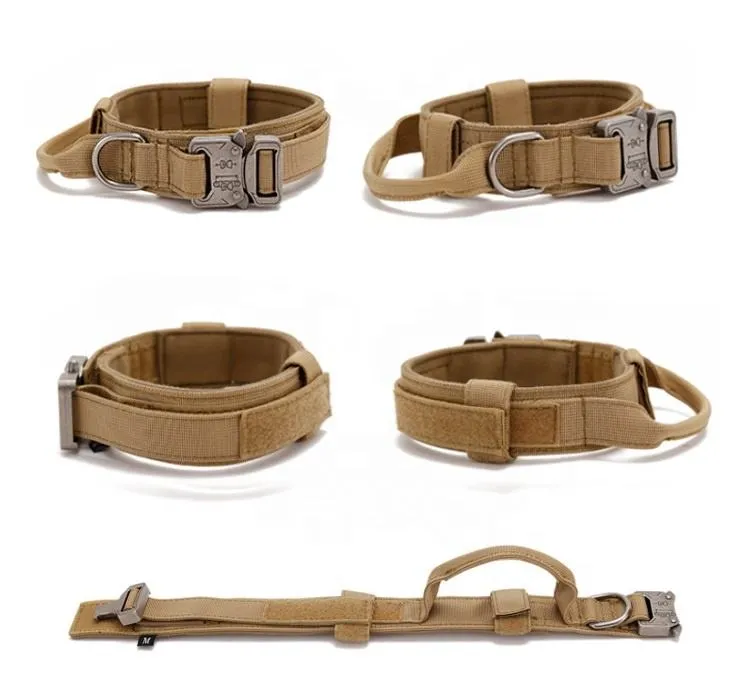 Pet Collar 3