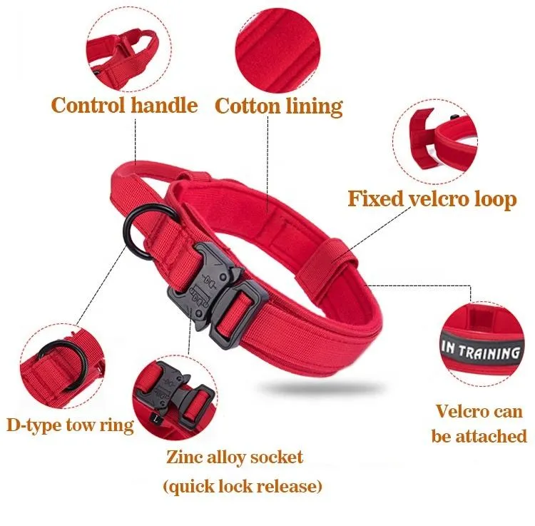 Pet Collar 4