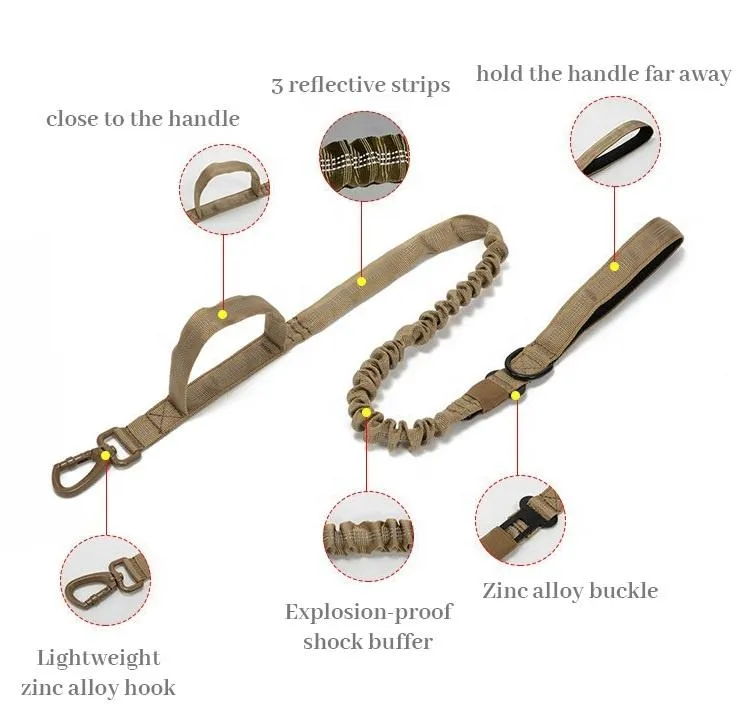 Pet Collar 6